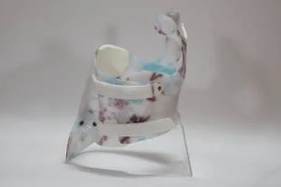 Scoliosis Brace